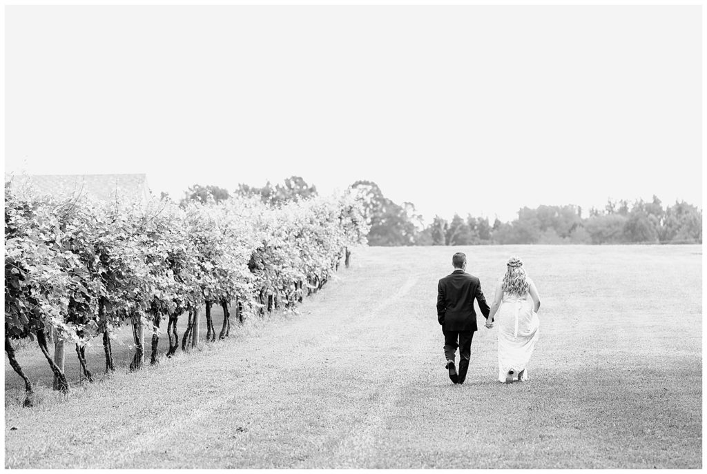 Generations Vineyard.
